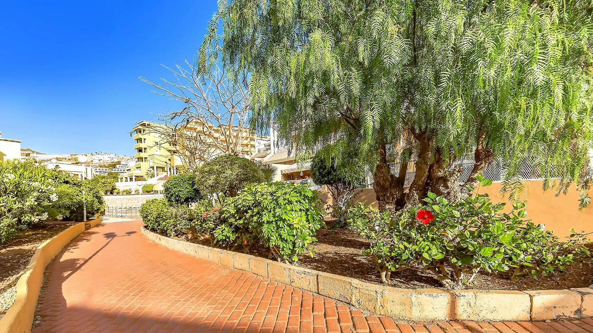 Tenerifeopenhome Ocean View Costa Adeje Apartment Costa Adeje (Tenerife)